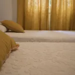 O Xastre De Anos * Cabana de Bergantiños