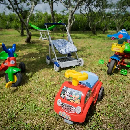 O Xastre De Anos Landsted