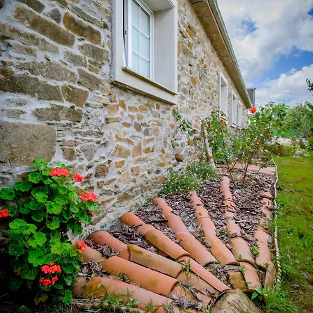 Landsted O Xastre De Anos