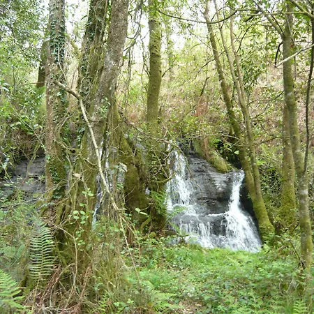 Landsted O Xastre De Anos *