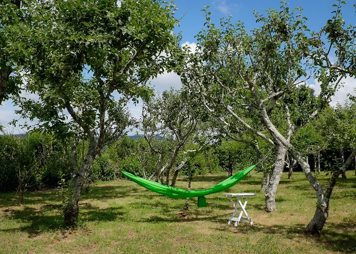 Casa de Campo O Xastre De Anos *