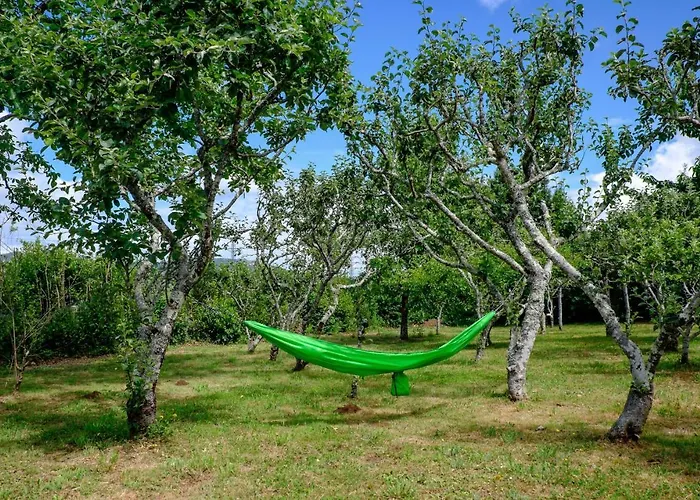 Casa de Campo O Xastre De Anos *